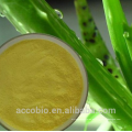 Extracto a base de hierbas 100% de Aloe Vera del extracto del extracto de Aloe Extracto de la planta en polvo con el mejor precio